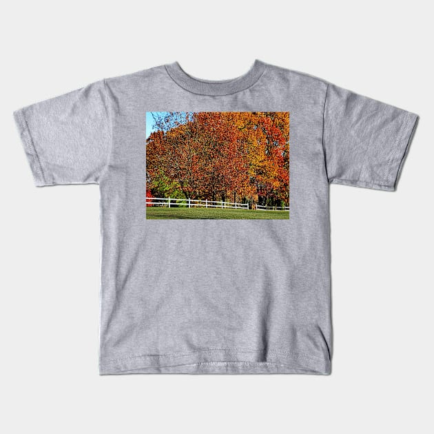 Autumn's explosion of color Kids T-Shirt by LaurieMinor